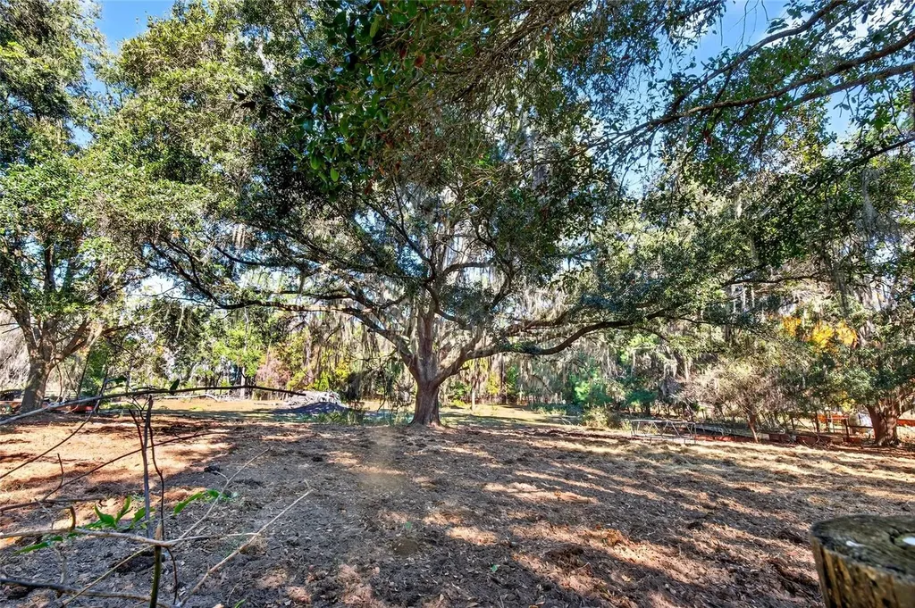 15340 NW 65th Avenue Road Reddick FL 32686