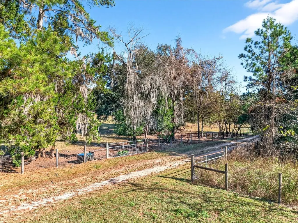 15340 NW 65th Avenue Road Reddick FL 32686