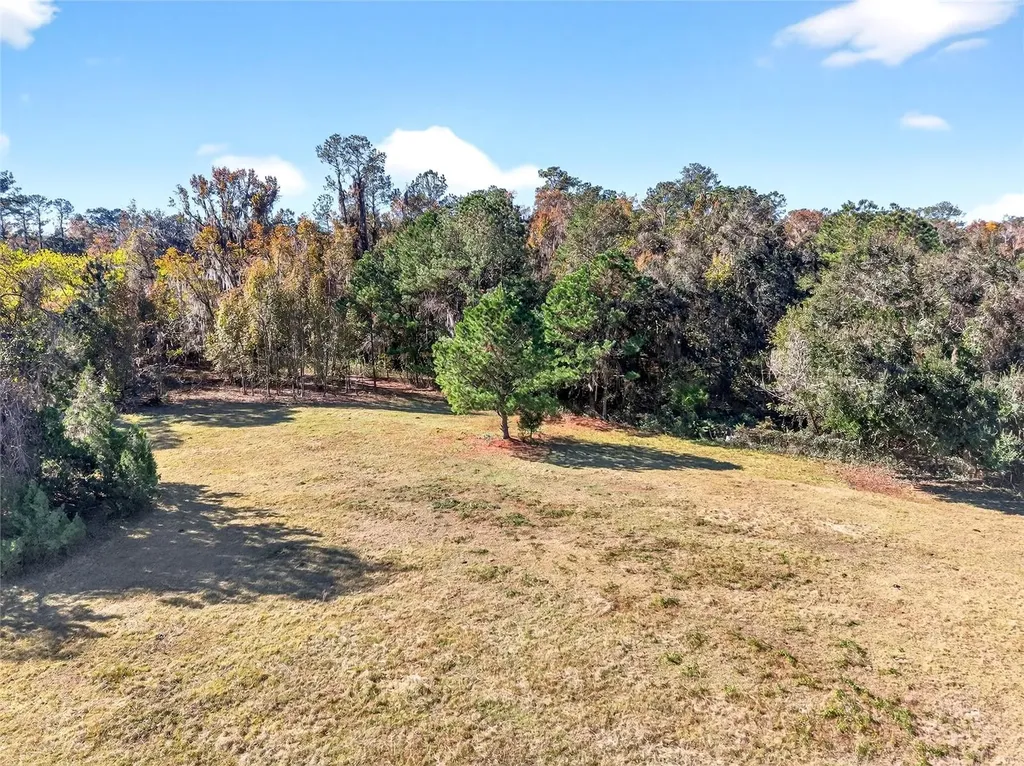 15340 NW 65th Avenue Road Reddick FL 32686