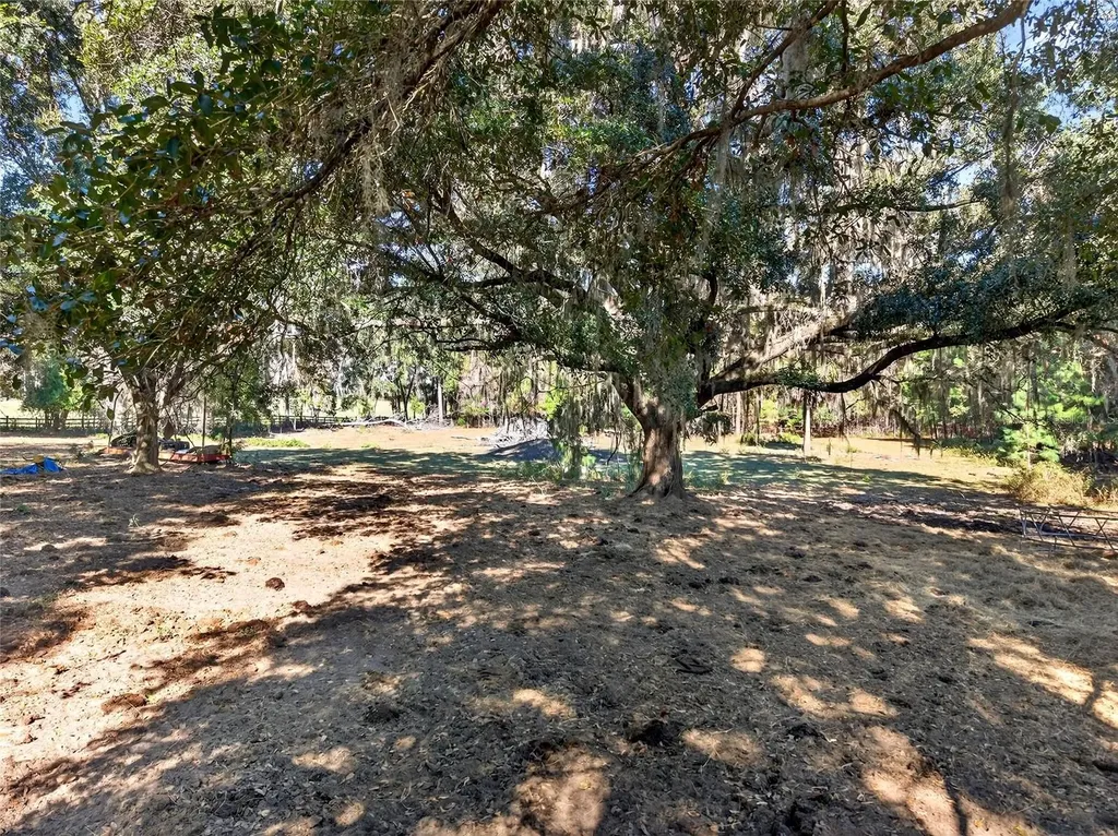 15340 NW 65th Avenue Road Reddick FL 32686
