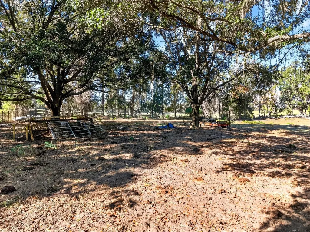 15340 NW 65th Avenue Road Reddick FL 32686