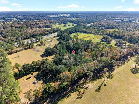 15340 NW 65th Avenue Road Reddick FL 32686