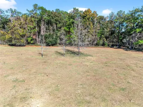 15340 NW 65th Avenue Road Reddick FL 32686