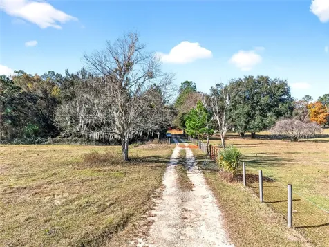 15340 NW 65th Avenue Road Reddick FL 32686