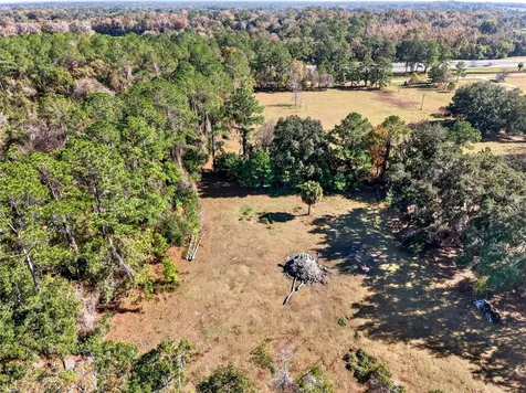 15340 NW 65th Avenue Road Reddick FL 32686