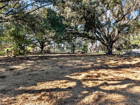 15340 NW 65th Avenue Road Reddick FL 32686