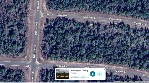 Lot 6 Unit 8 Blk 505 Greenbrier Drive Chipley FL 32428