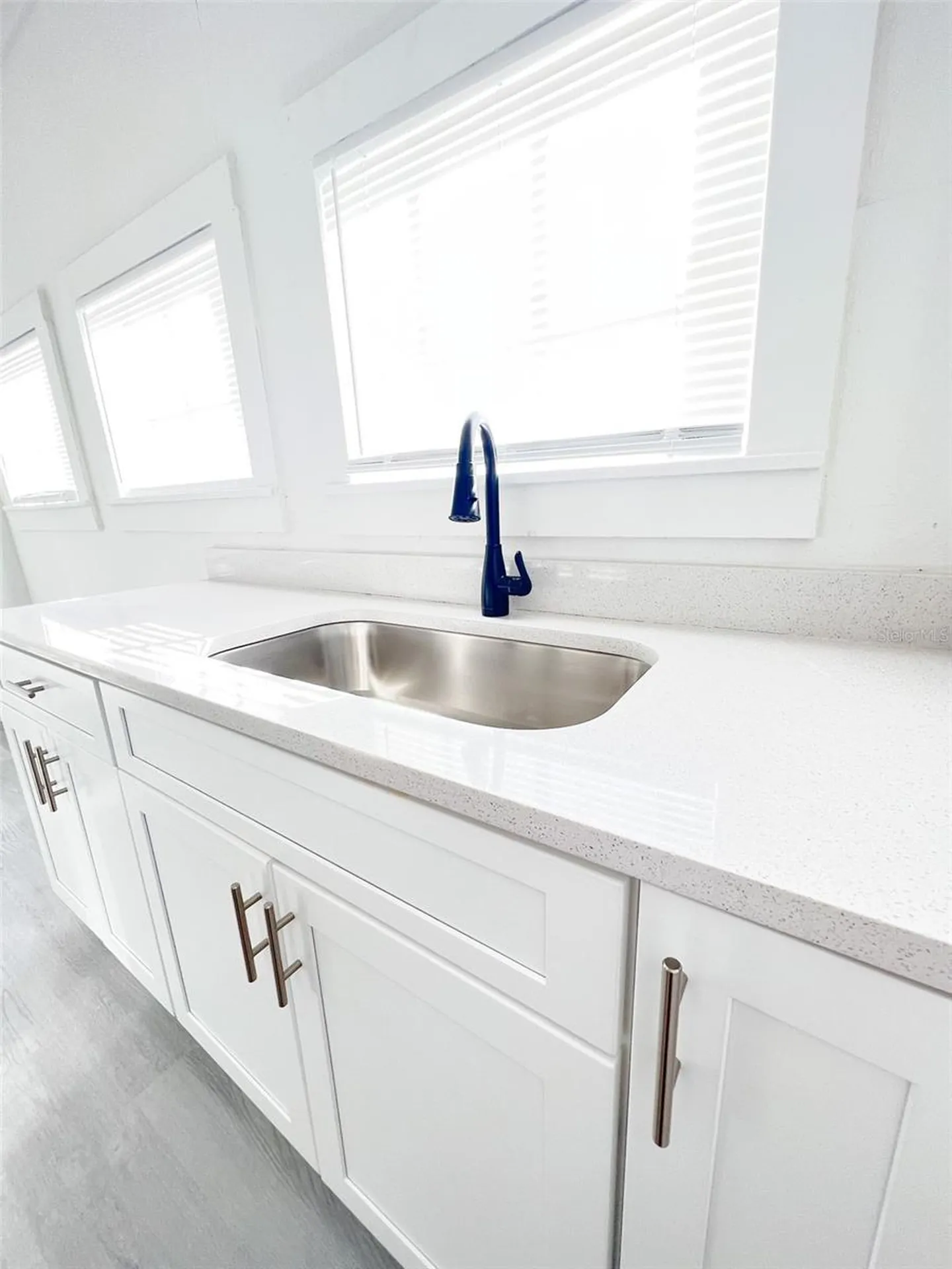 205 S Grove Street Eustis FL 32726