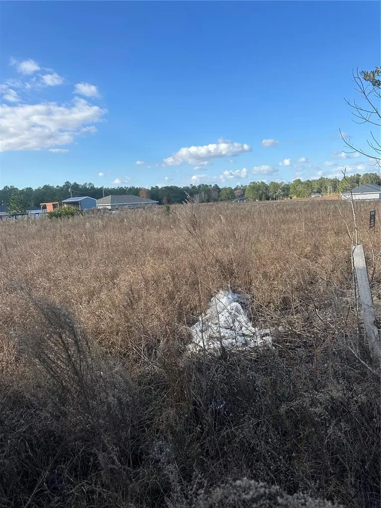 Lot 13.14 SW 151st Avenue Ocala FL 34481