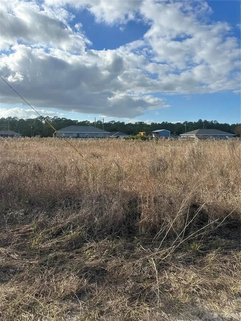 Lot 13.14 SW 151st Avenue Ocala FL 34481