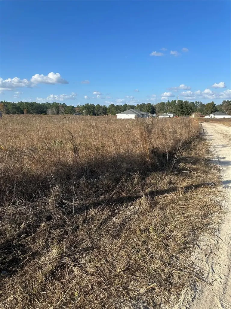 Lot 13.14 SW 151st Avenue Ocala FL 34481