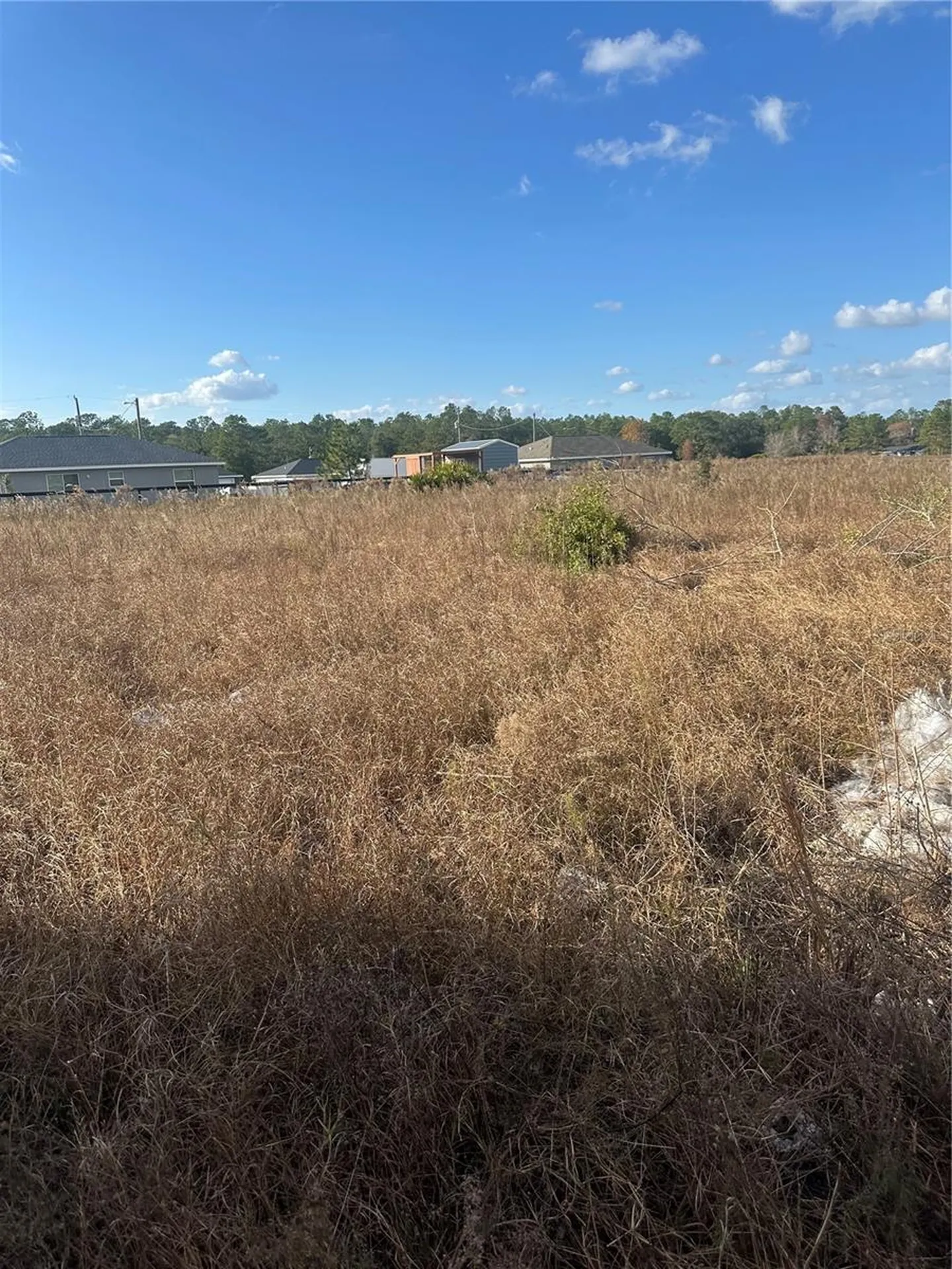Lot 13.14 SW 151st Avenue Ocala FL 34481