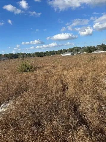 Lot 13.14 SW 151st Avenue Ocala FL 34481