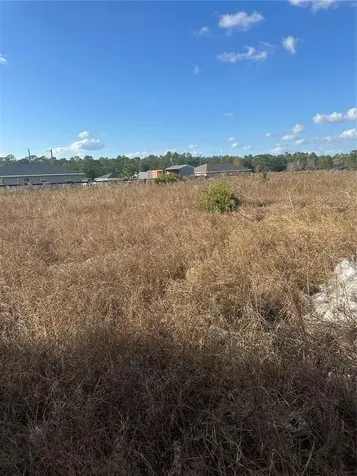 Lot 13.14 SW 151st Avenue Ocala FL 34481
