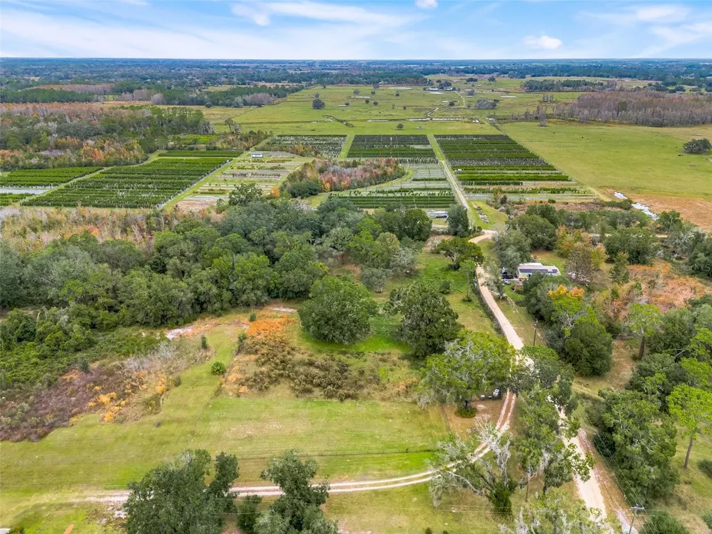 1425 Douglas Road Groveland FL 34736