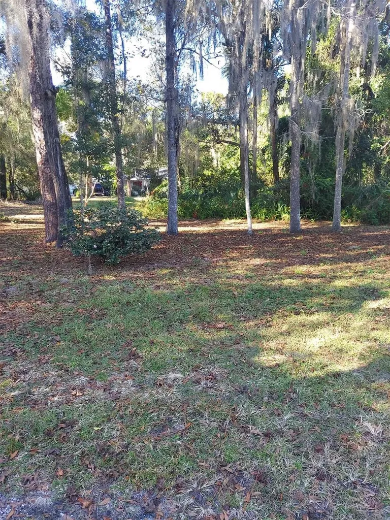 251 N Blue Lake Avenue Deland FL 32724