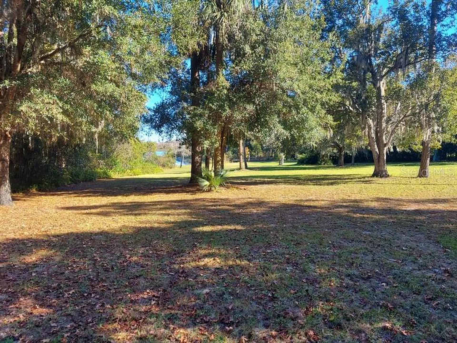 251 N Blue Lake Avenue Deland FL 32724
