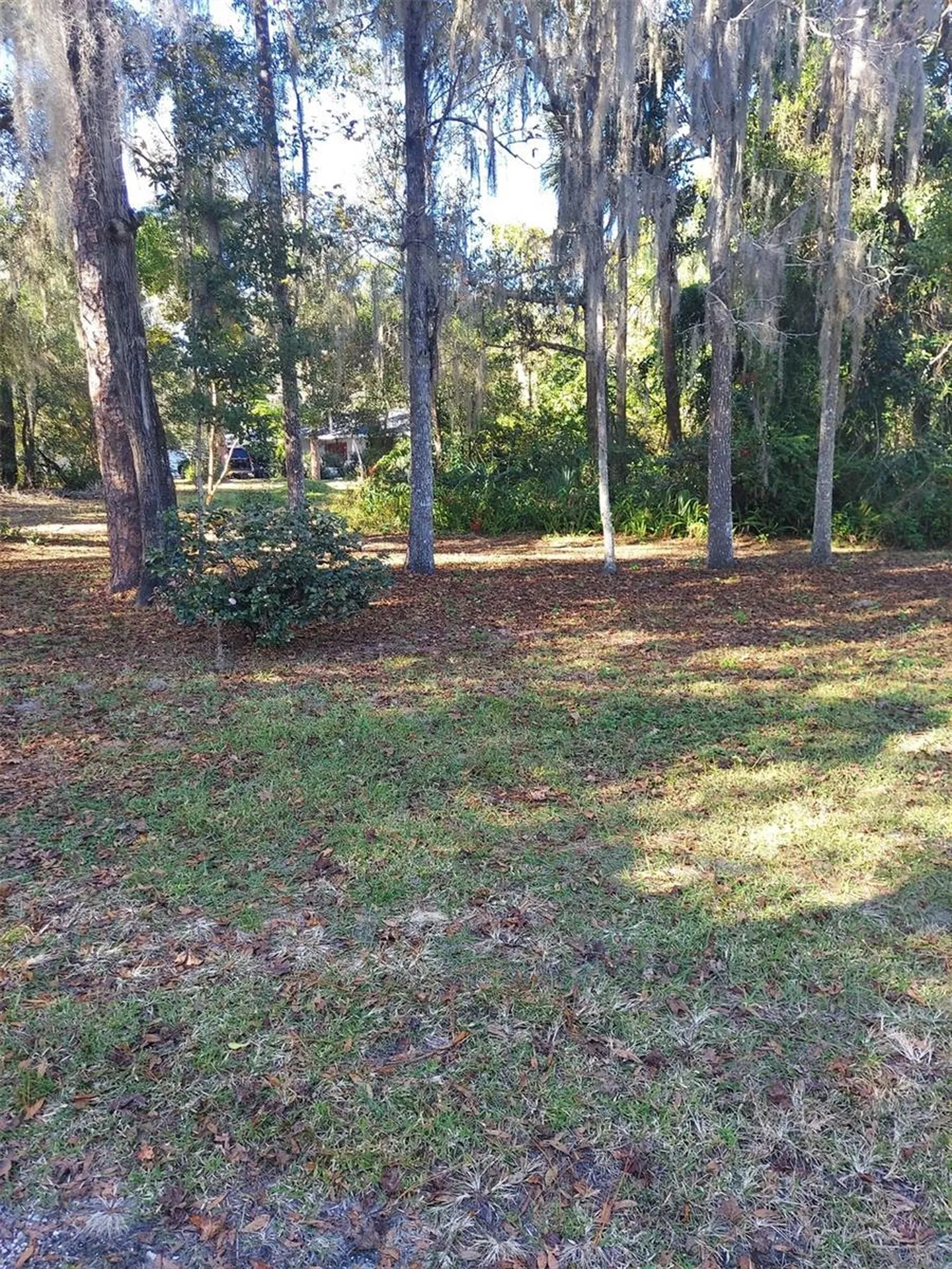 251 N Blue Lake Avenue Deland FL 32724