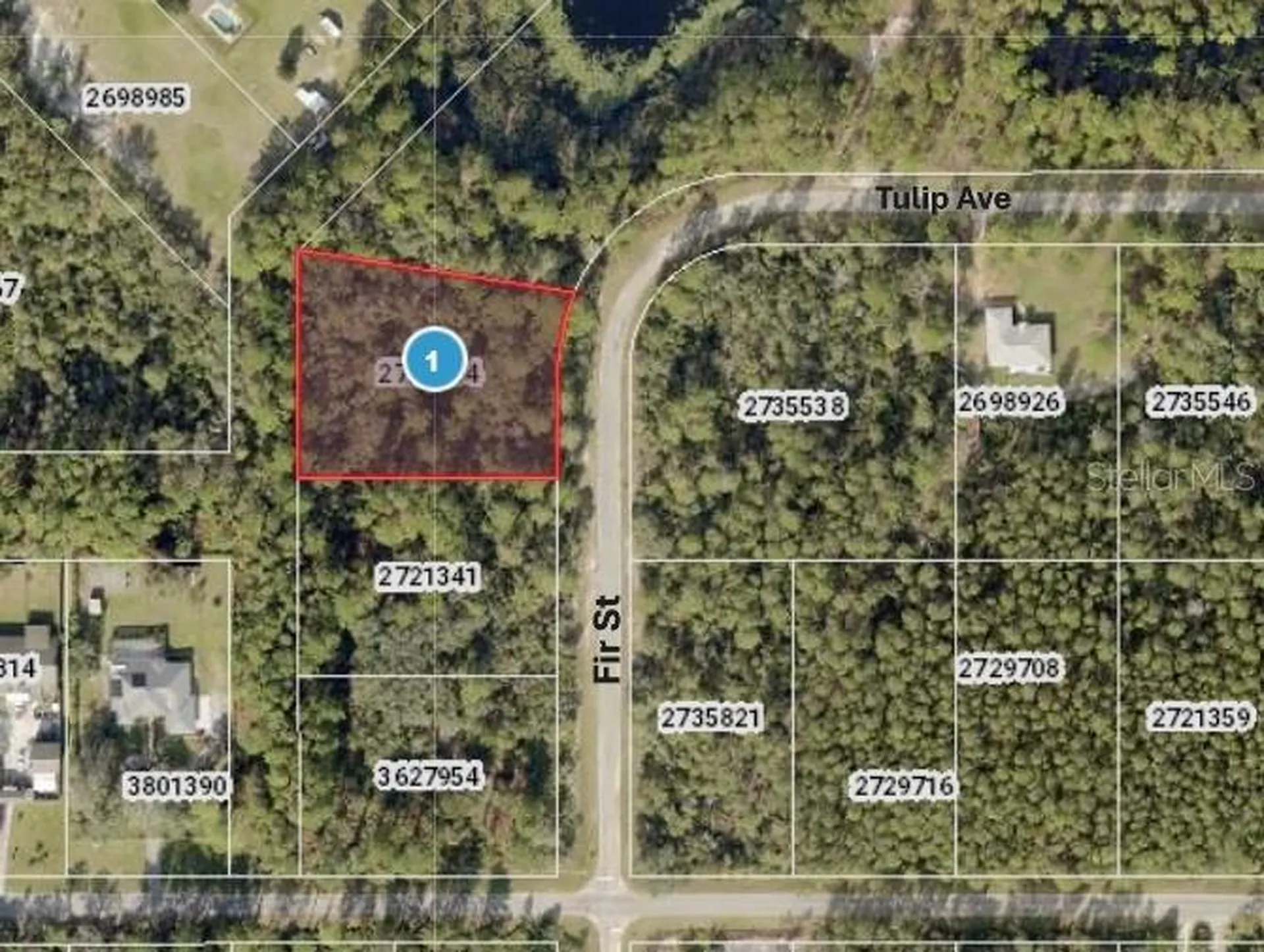 Tulip Avenue Eustis FL 32736