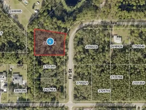 Tulip Avenue Eustis FL 32736