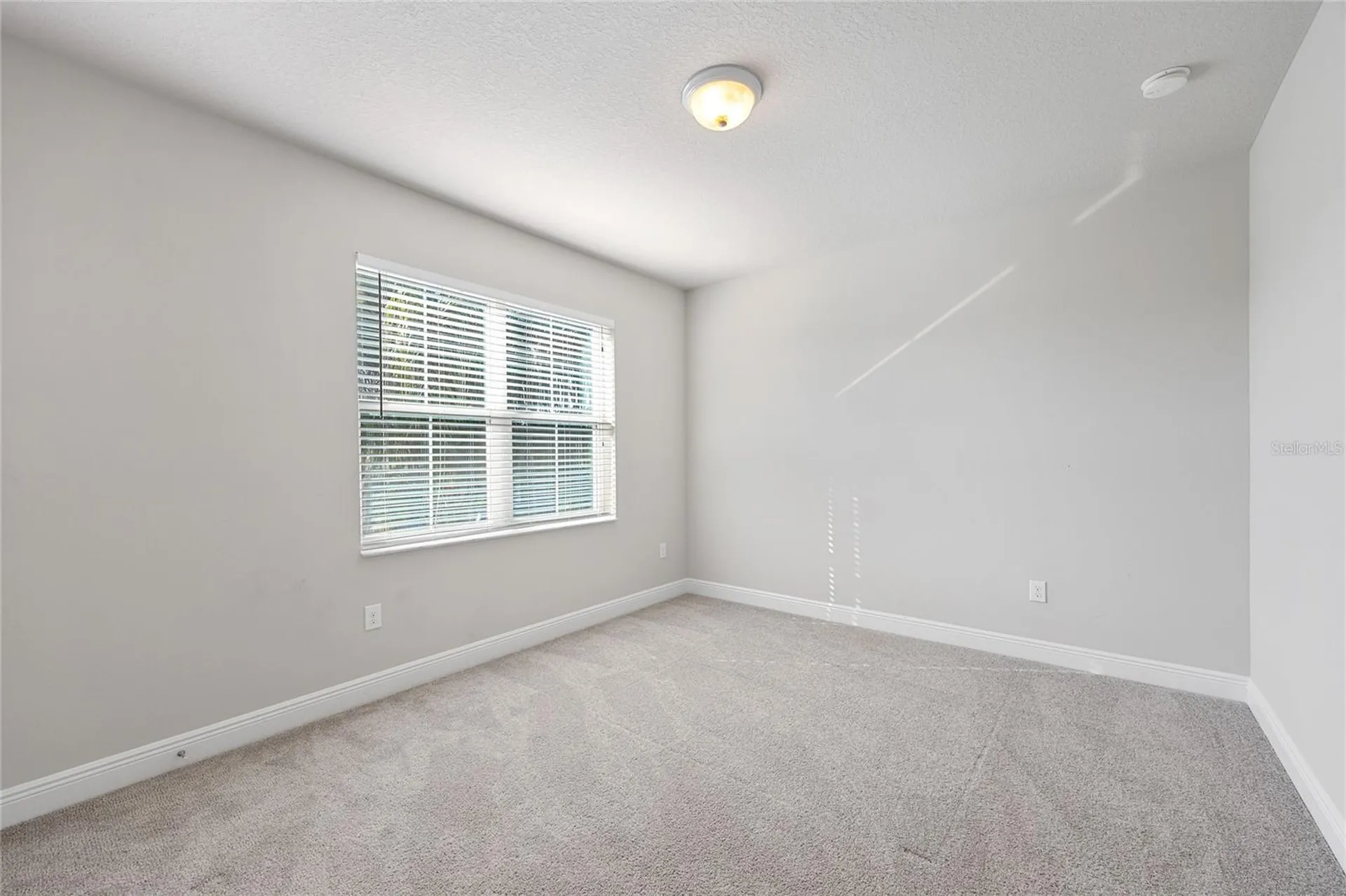 1308 Charleen Street Brandon FL 33511