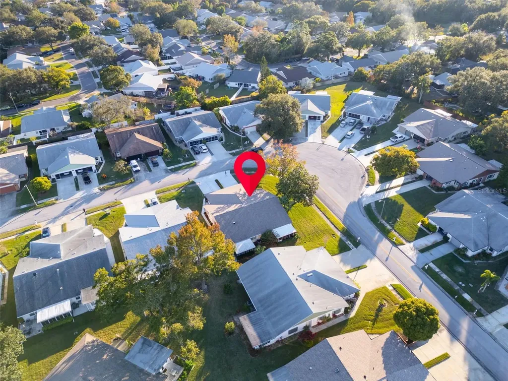 3251 Mcmath Drive Palm Harbor FL 34684