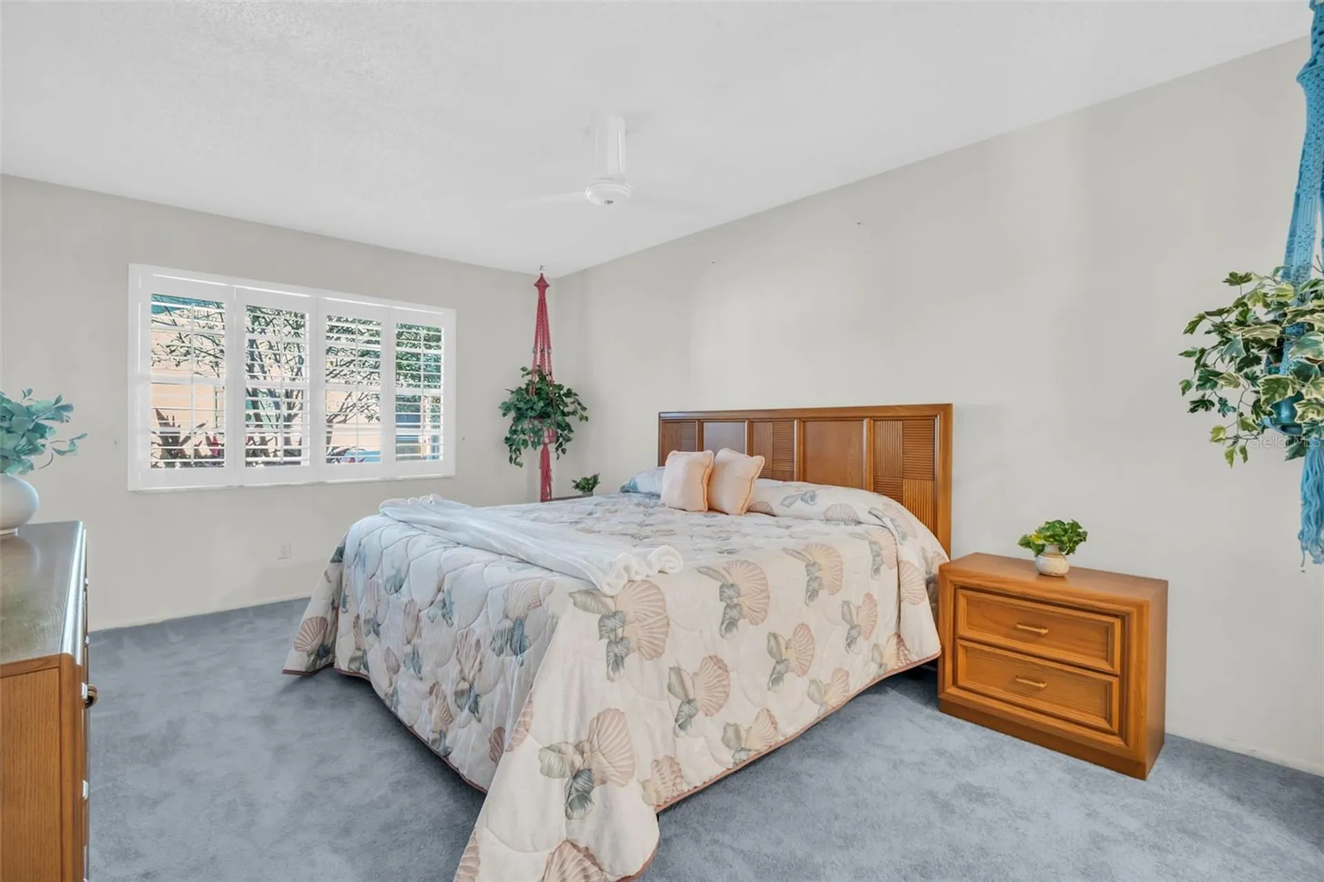 3251 Mcmath Drive Palm Harbor FL 34684