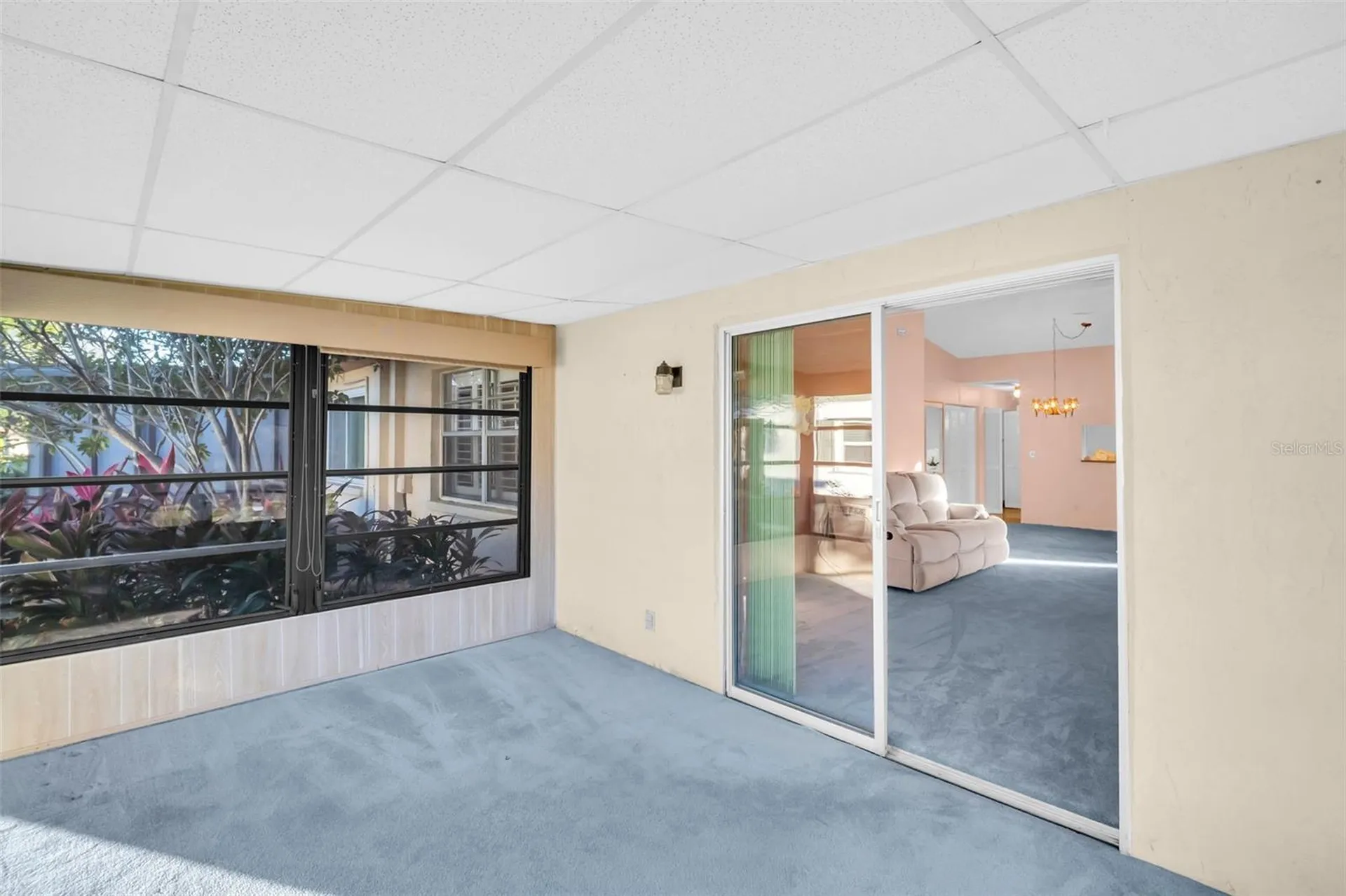 3251 Mcmath Drive Palm Harbor FL 34684