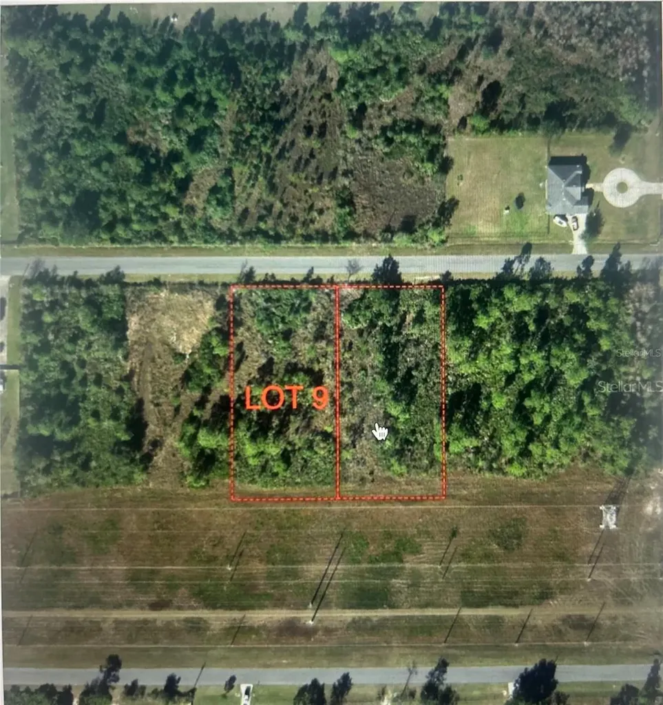 Nettleton Street Orlando FL 32833
