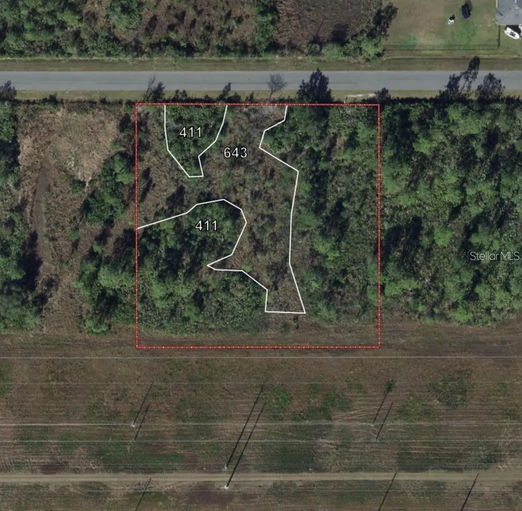 Nettleton Street Orlando FL 32833
