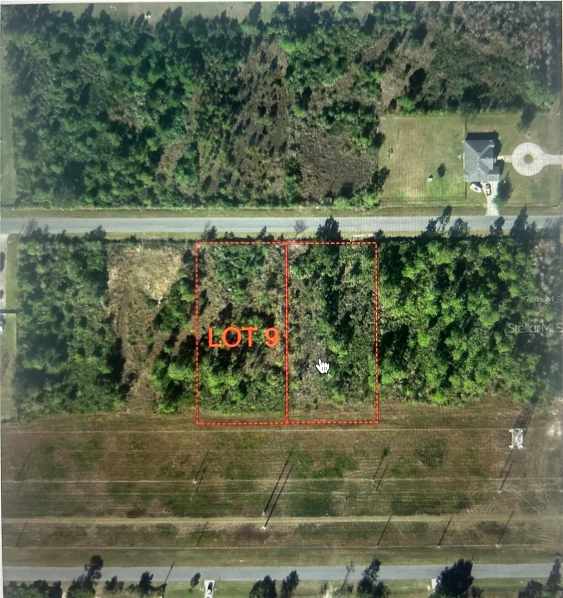 Nettleton Street Orlando FL 32833