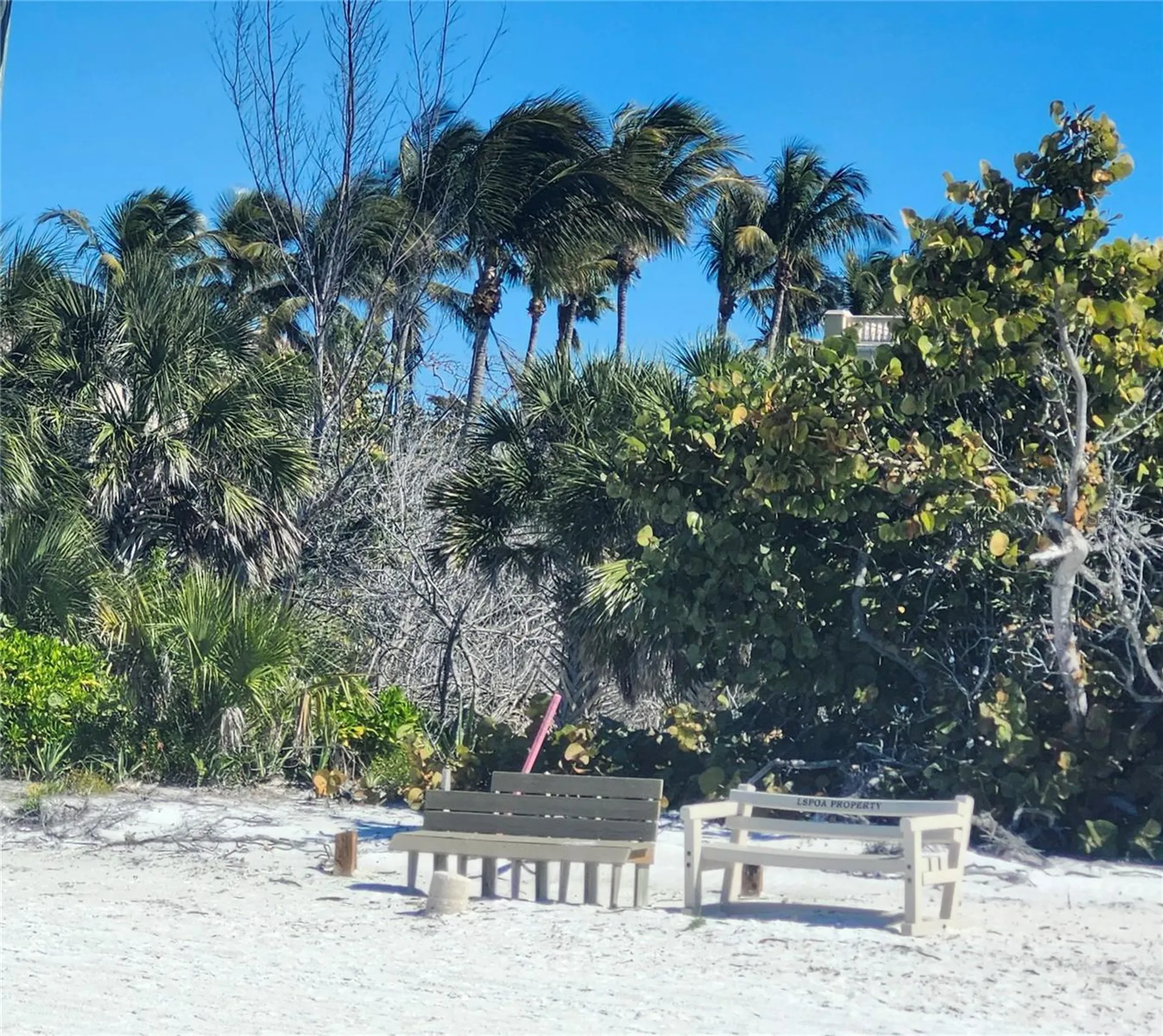 1418 John Ringling Parkway Sarasota FL 34236