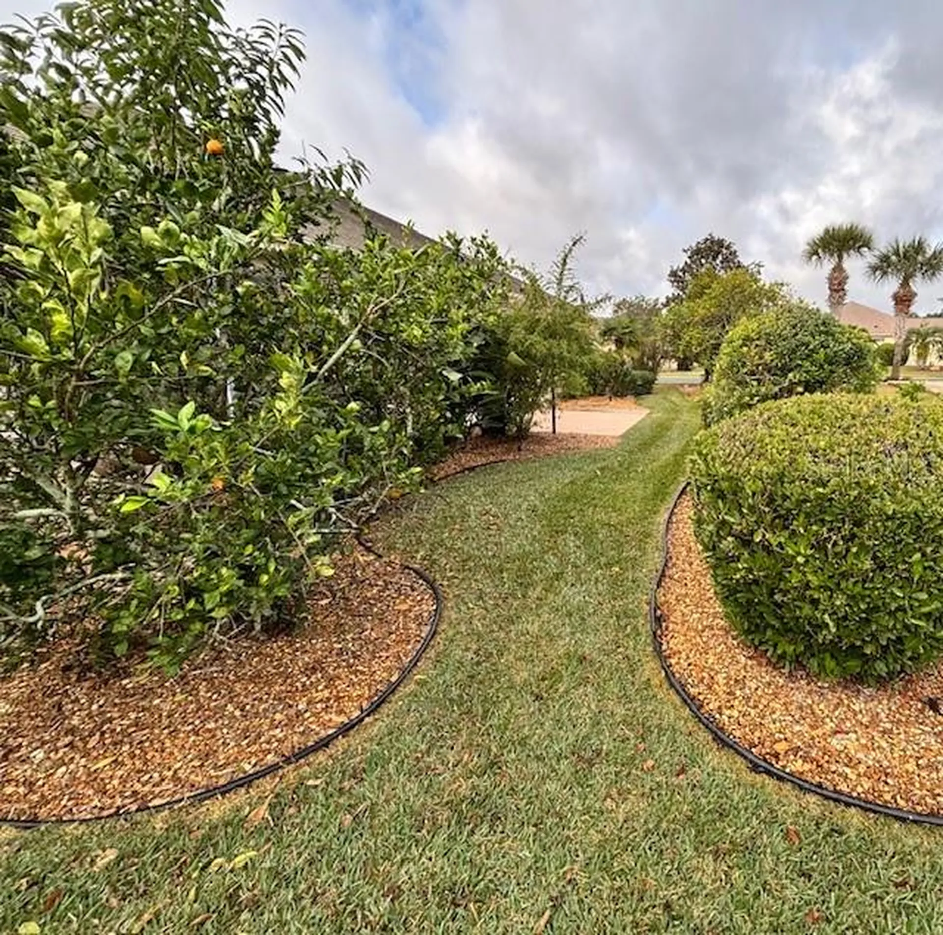 8955 SE 118th Lane Summerfield FL 34491