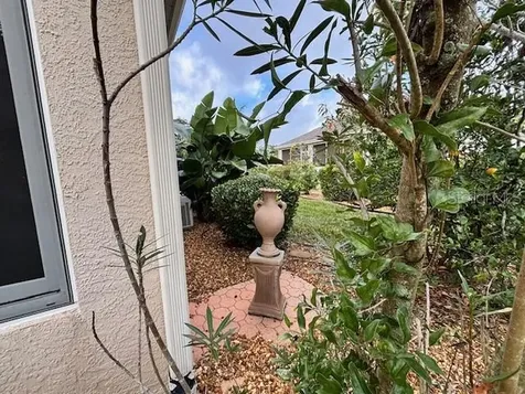 8955 SE 118th Lane Summerfield FL 34491