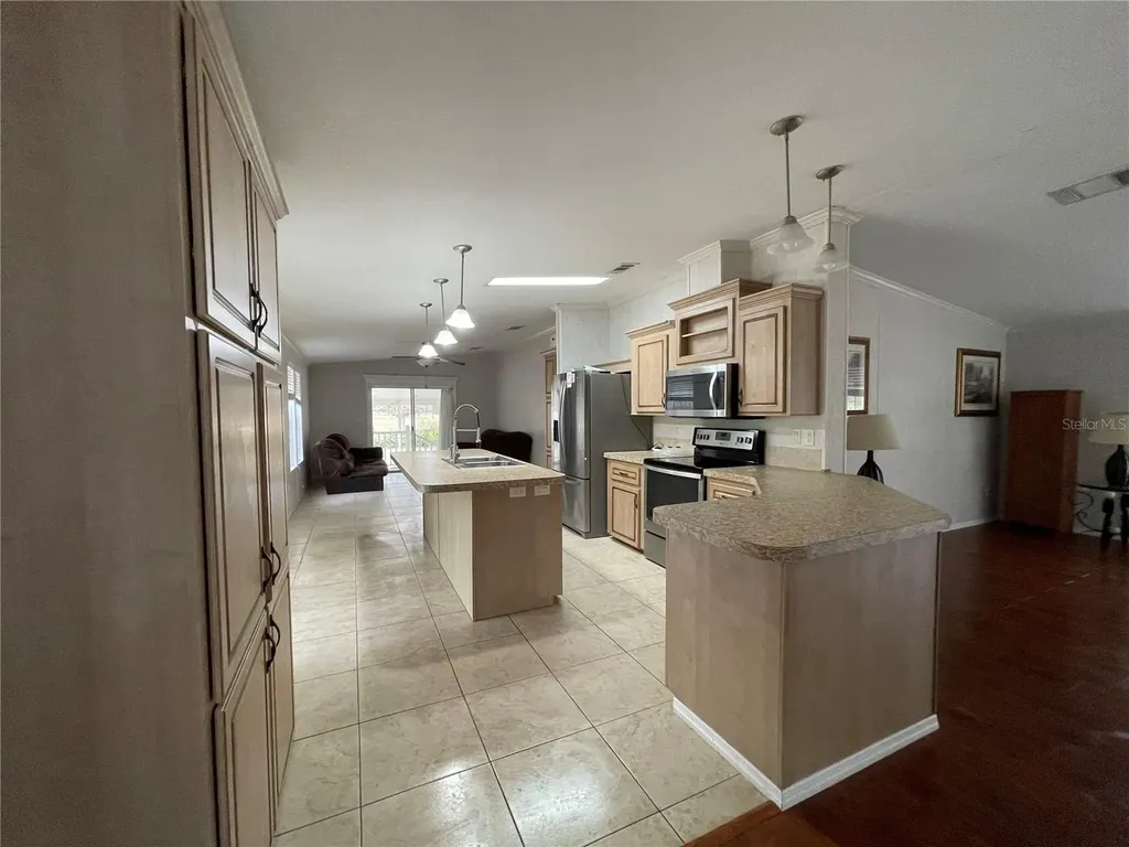 7690 SE 193rd Avenue Morriston FL 32668