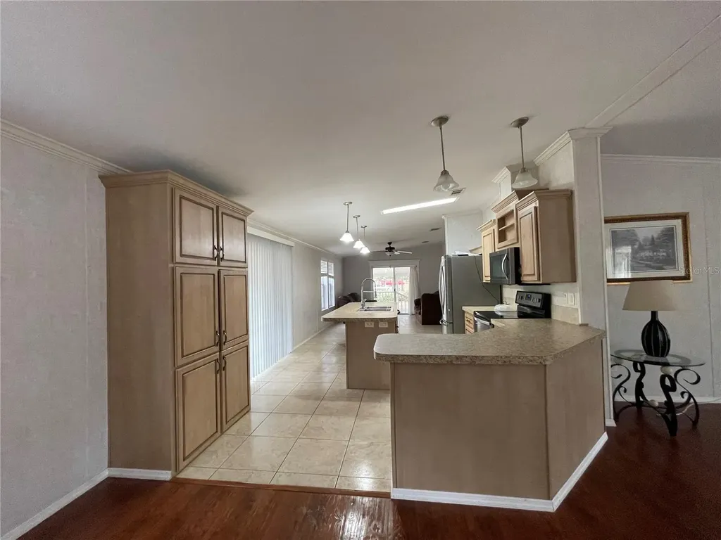 7690 SE 193rd Avenue Morriston FL 32668