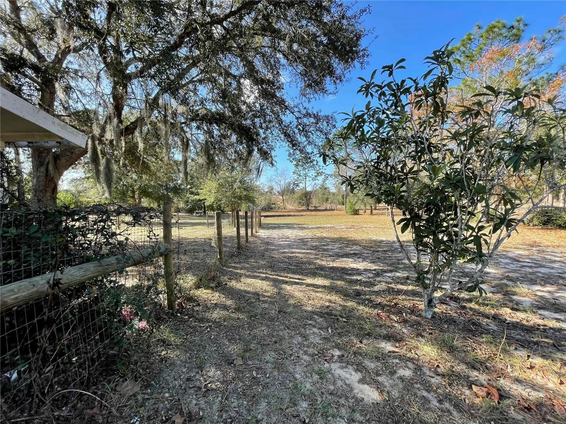 7690 SE 193rd Avenue Morriston FL 32668