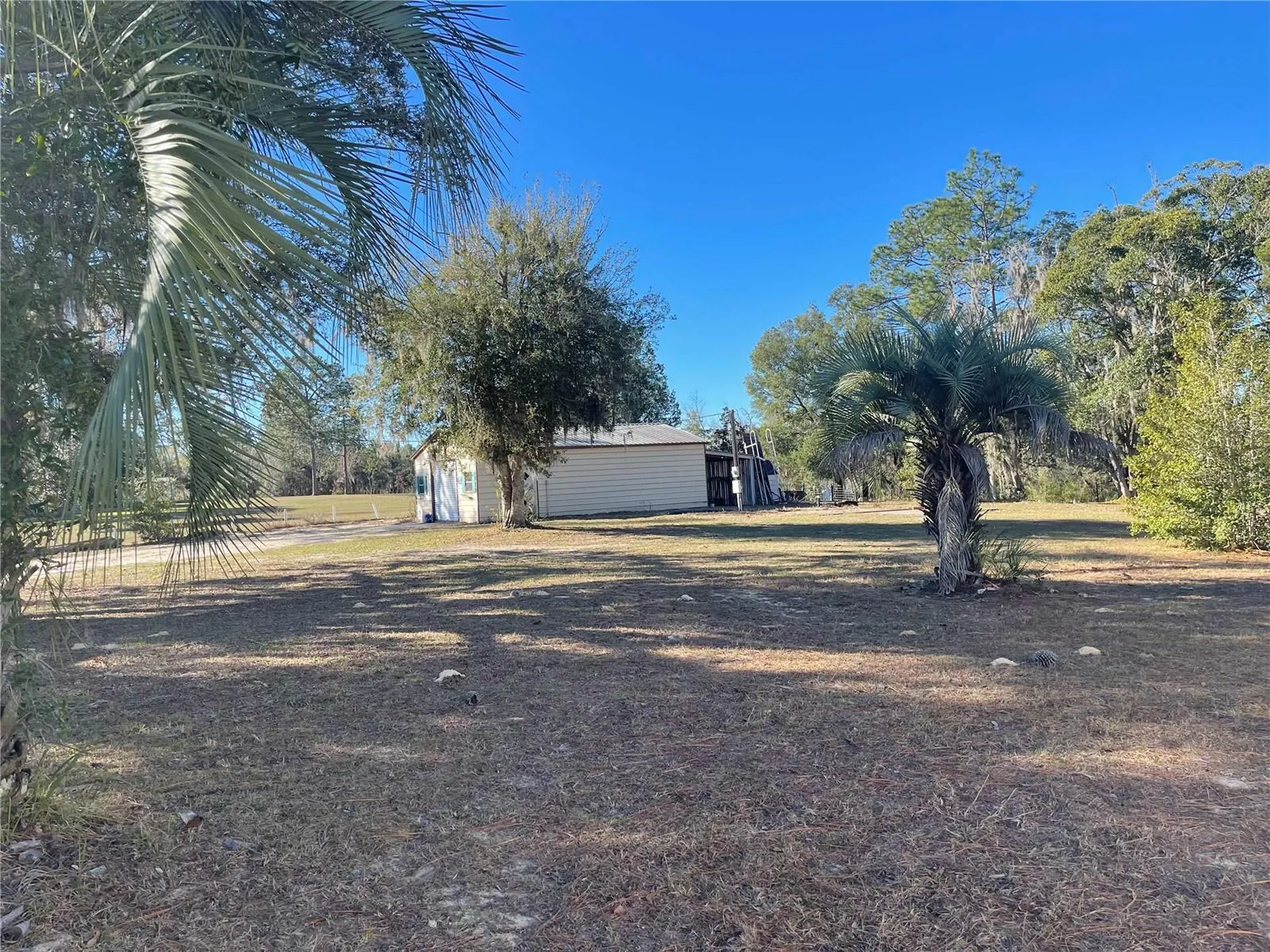 7690 SE 193rd Avenue Morriston FL 32668