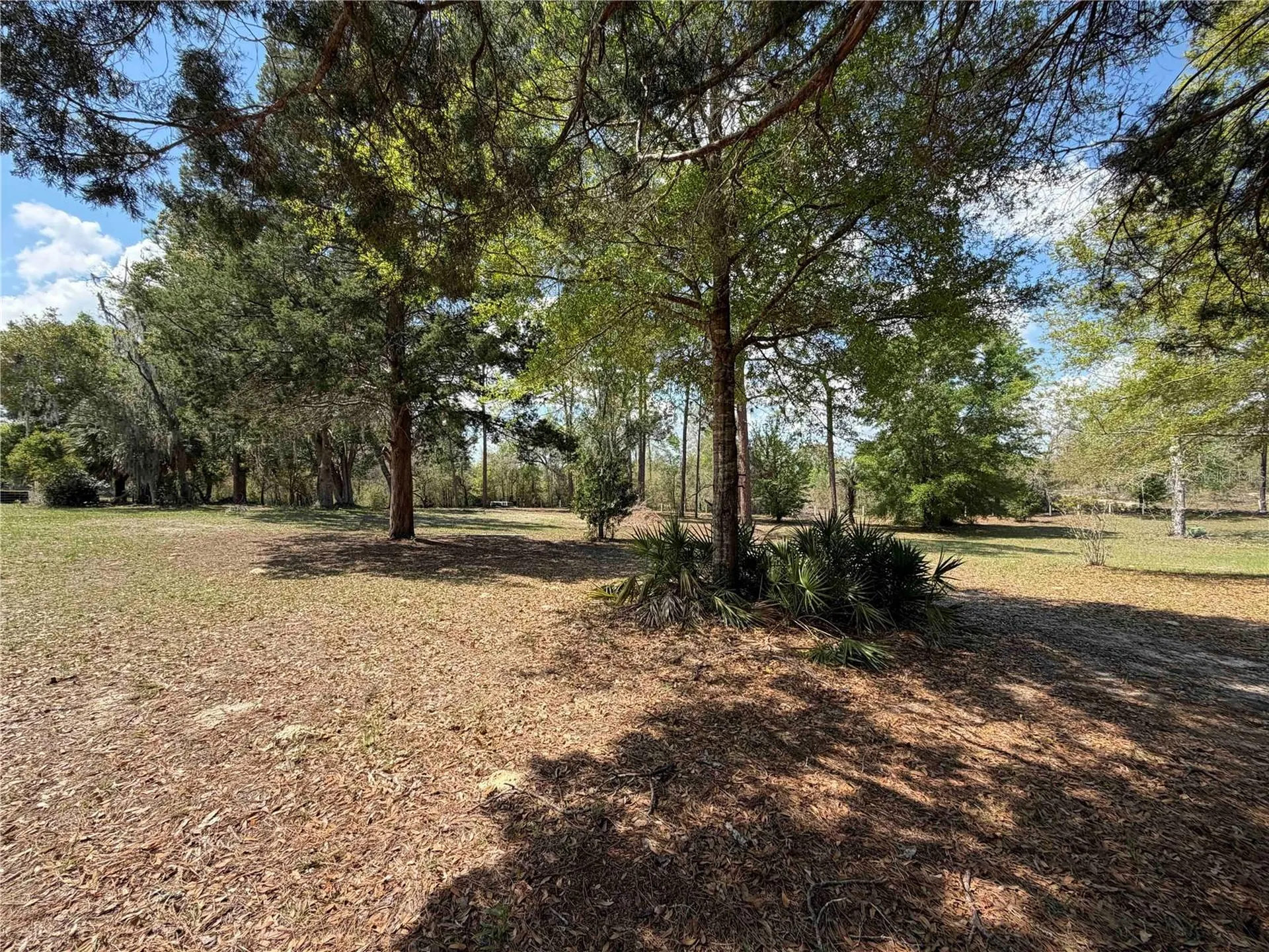 7690 SE 193rd Avenue Morriston FL 32668