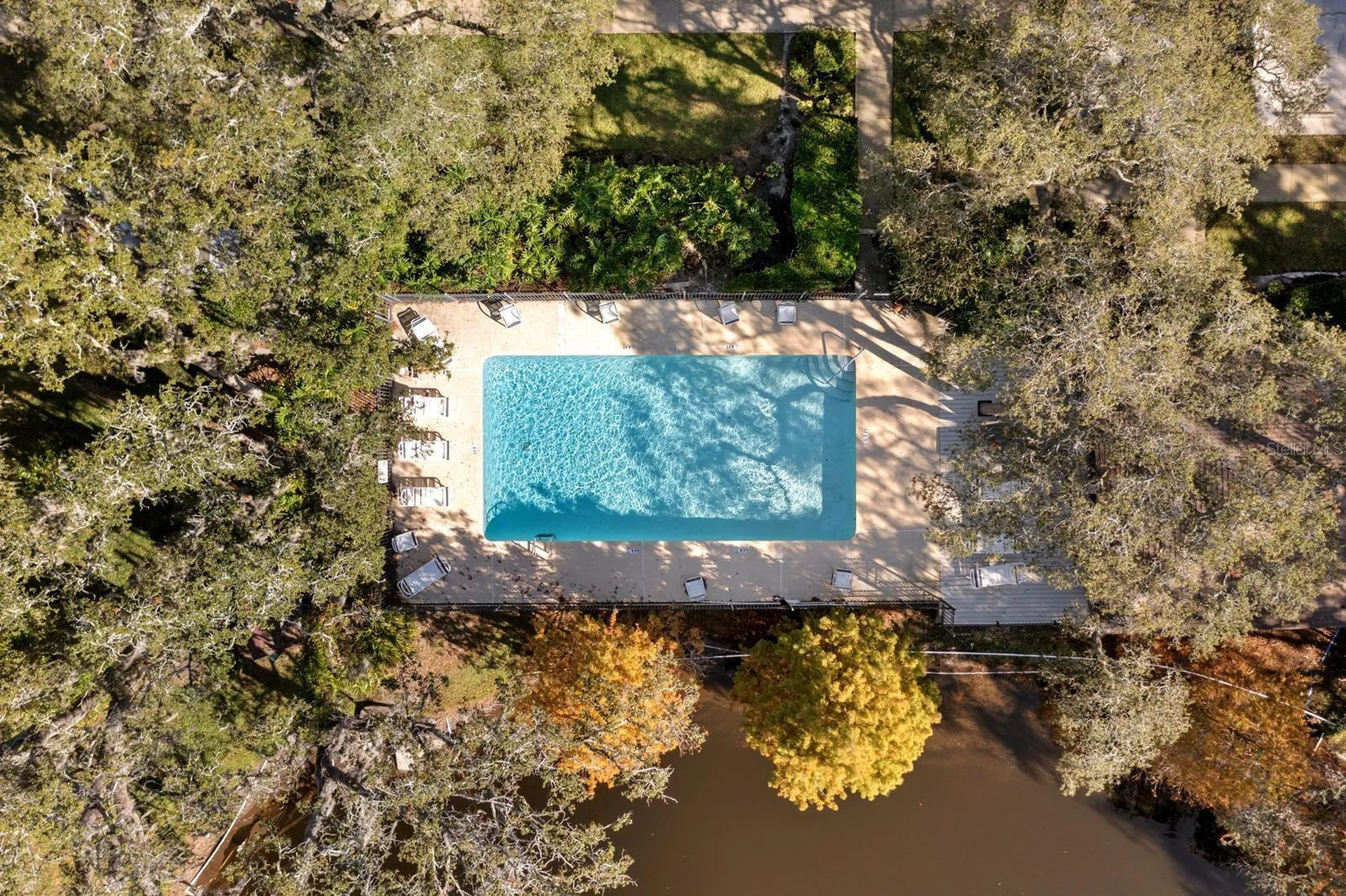 1919 Whispering Way Tarpon Springs FL 34689