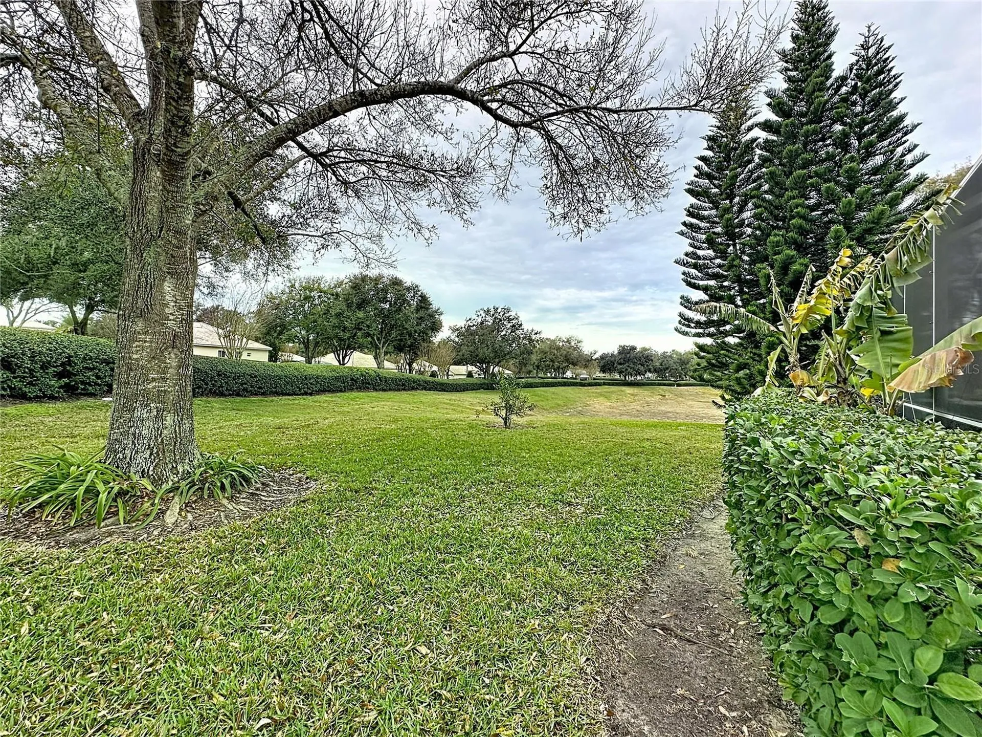 3914 Allamanda Court Clermont FL 34711