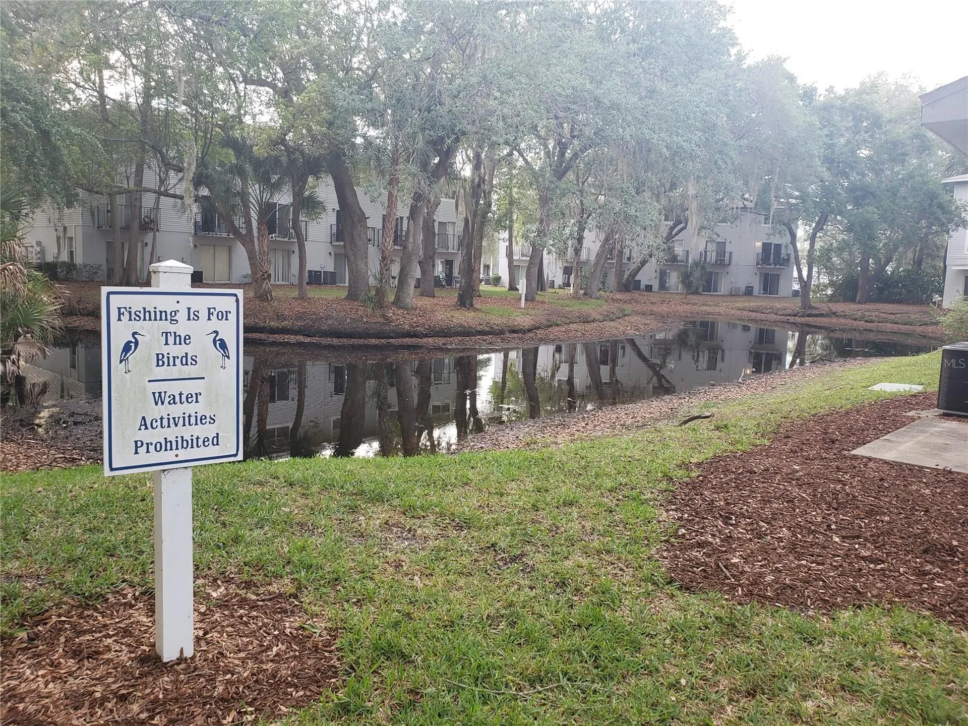 7100 Waterside Drive Tampa FL 33617