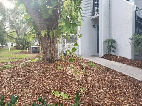 7100 Waterside Drive Tampa FL 33617