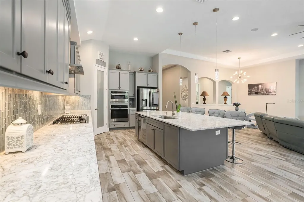 21698 Amelia Rose Way Land O Lakes FL 34637
