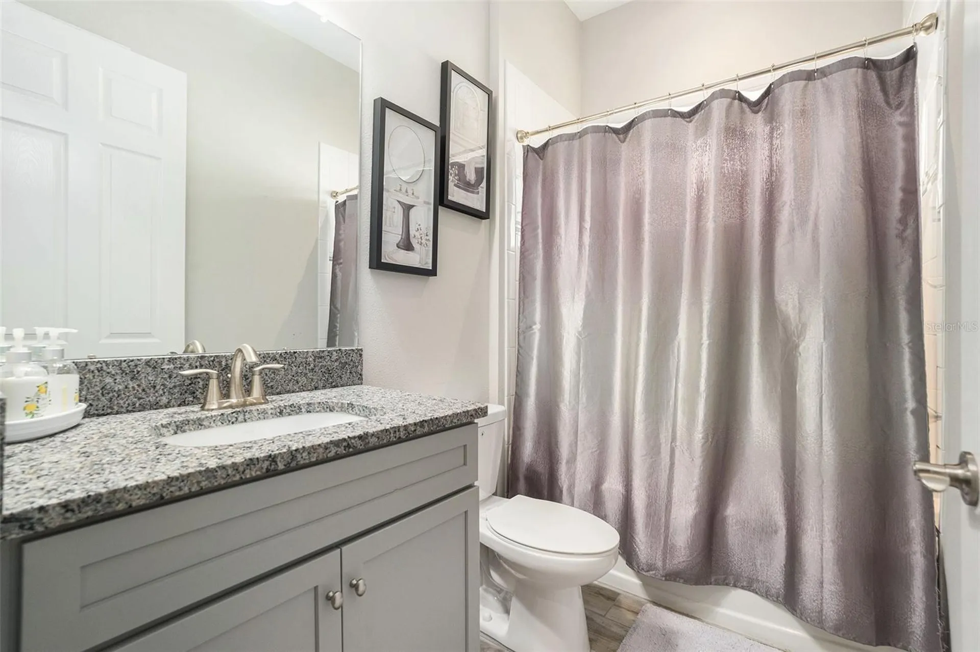 21698 Amelia Rose Way Land O Lakes FL 34637