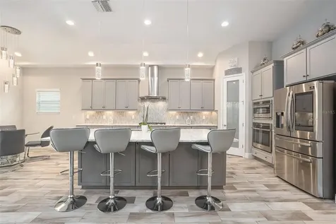 21698 Amelia Rose Way Land O Lakes FL 34637