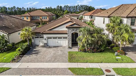 21698 Amelia Rose Way Land O Lakes FL 34637