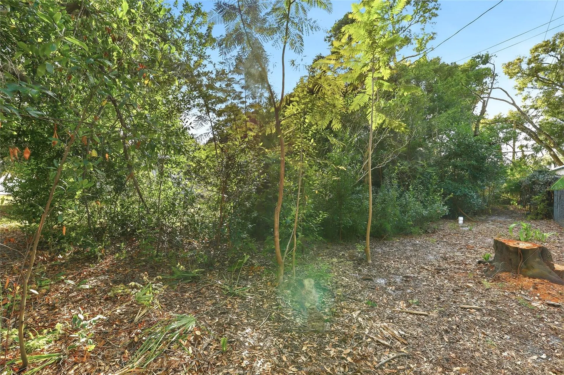 1612 E Main Street Lakeland FL 33801