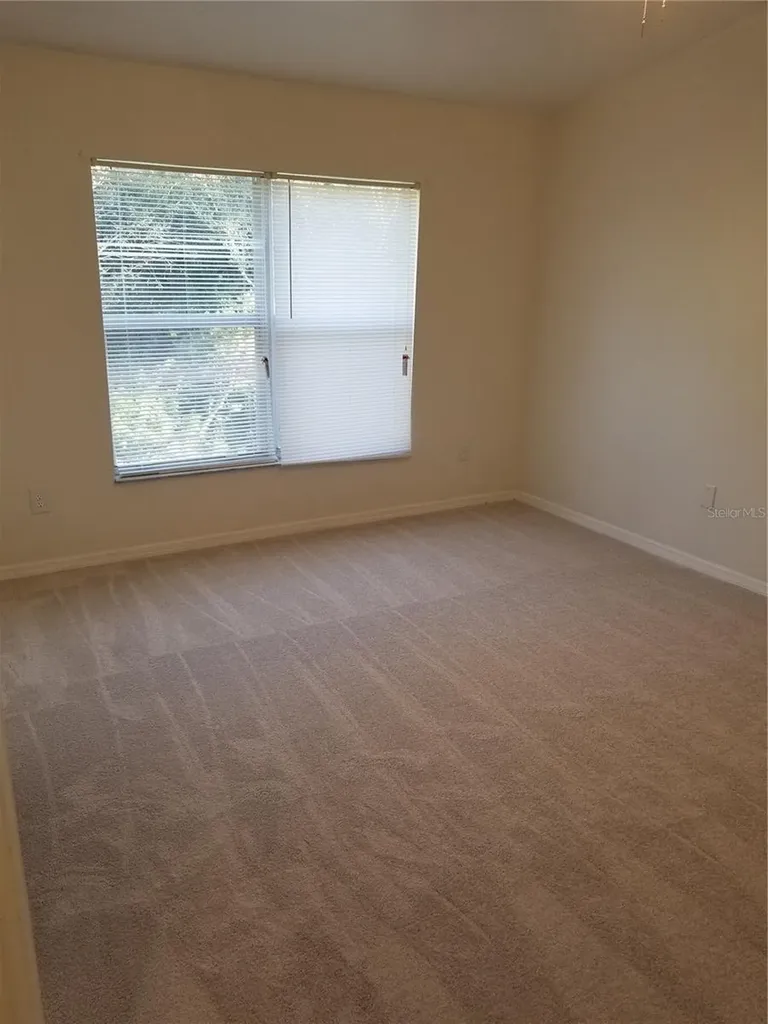 6116 Olivedale Drive Riverview FL 33578