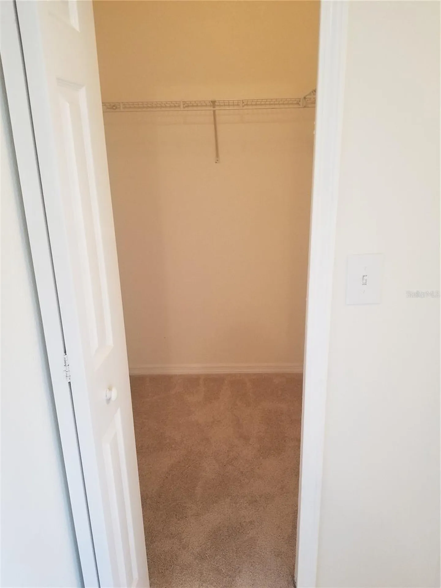 6116 Olivedale Drive Riverview FL 33578